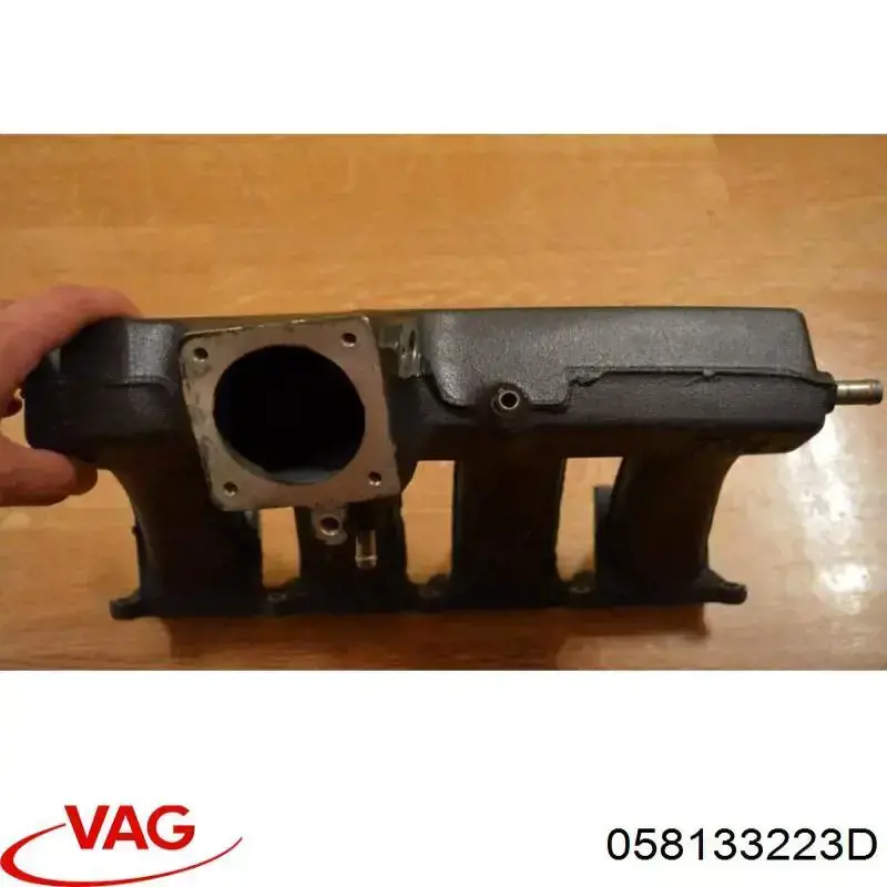  058133223D VAG