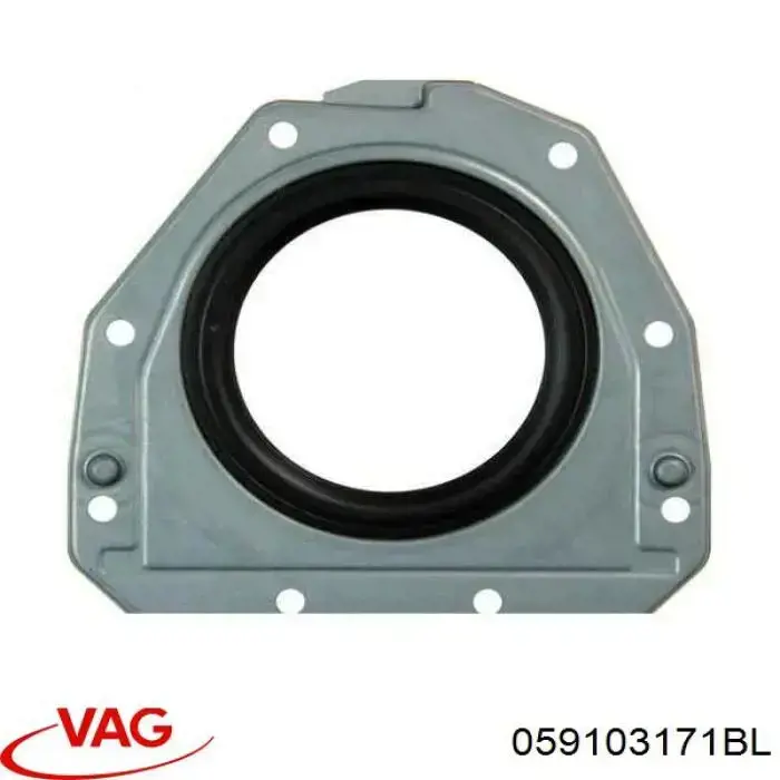 Купити 059103171BL VAG 