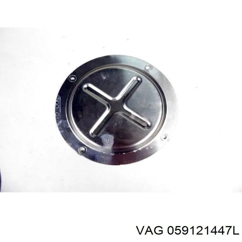 Купити 059121447L VAG 