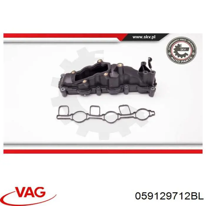 Колектор впускний, правий VAG 059129712BL ціна, від 34.81 USD