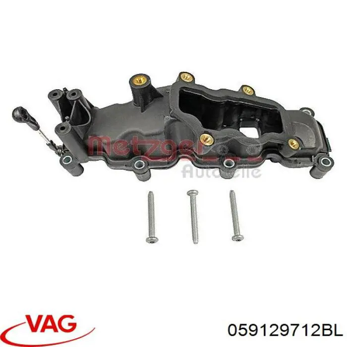 Купити 059129712BL VAG Колектор впускний, правий