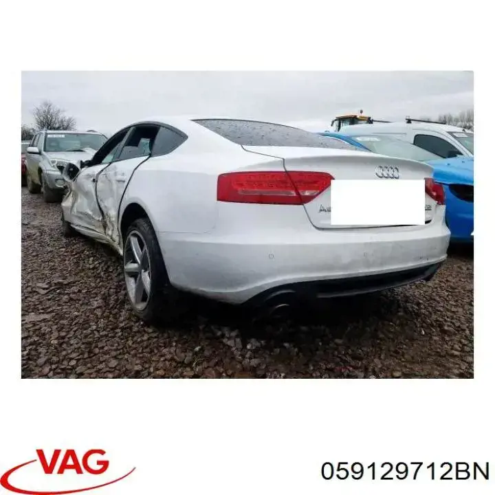 Купити 059129712BN VAG Колектор впускний, правий
