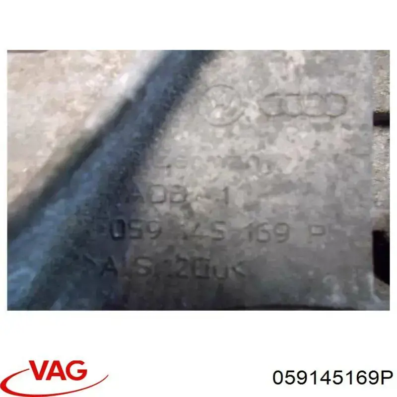 Купити 059145169P VAG 