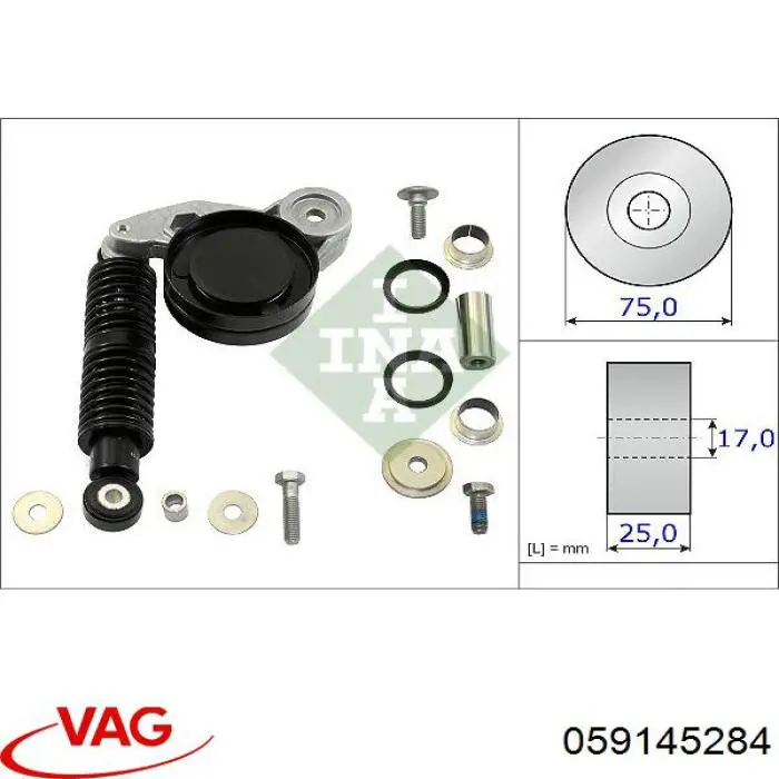 Амортизатор натяжителя ременя приводного VAG 059145284