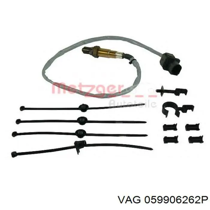  VAG 059906262P