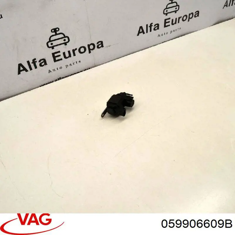 Купити 059906609B VAG 