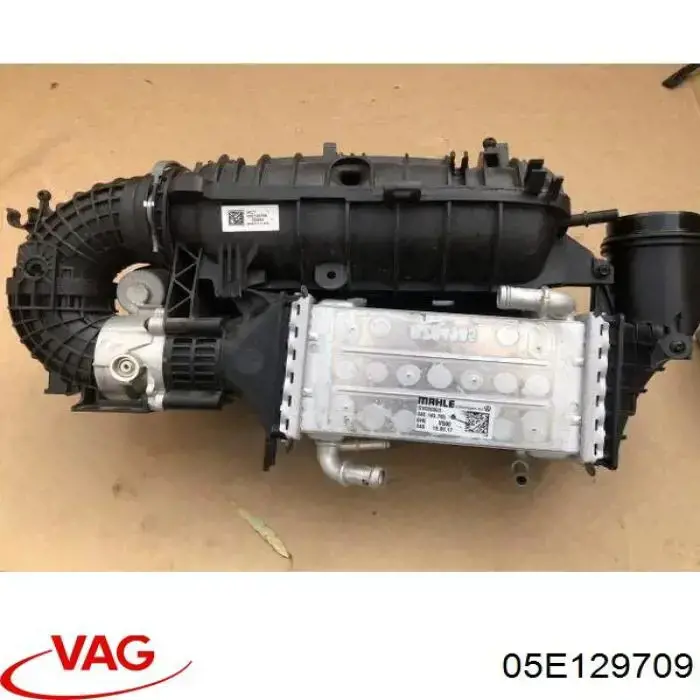 Впускний колектор 05E129709 VAG