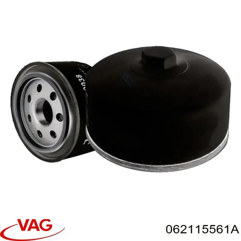 Купити 062115561A VAG Фільтр очищення масла відцентровий