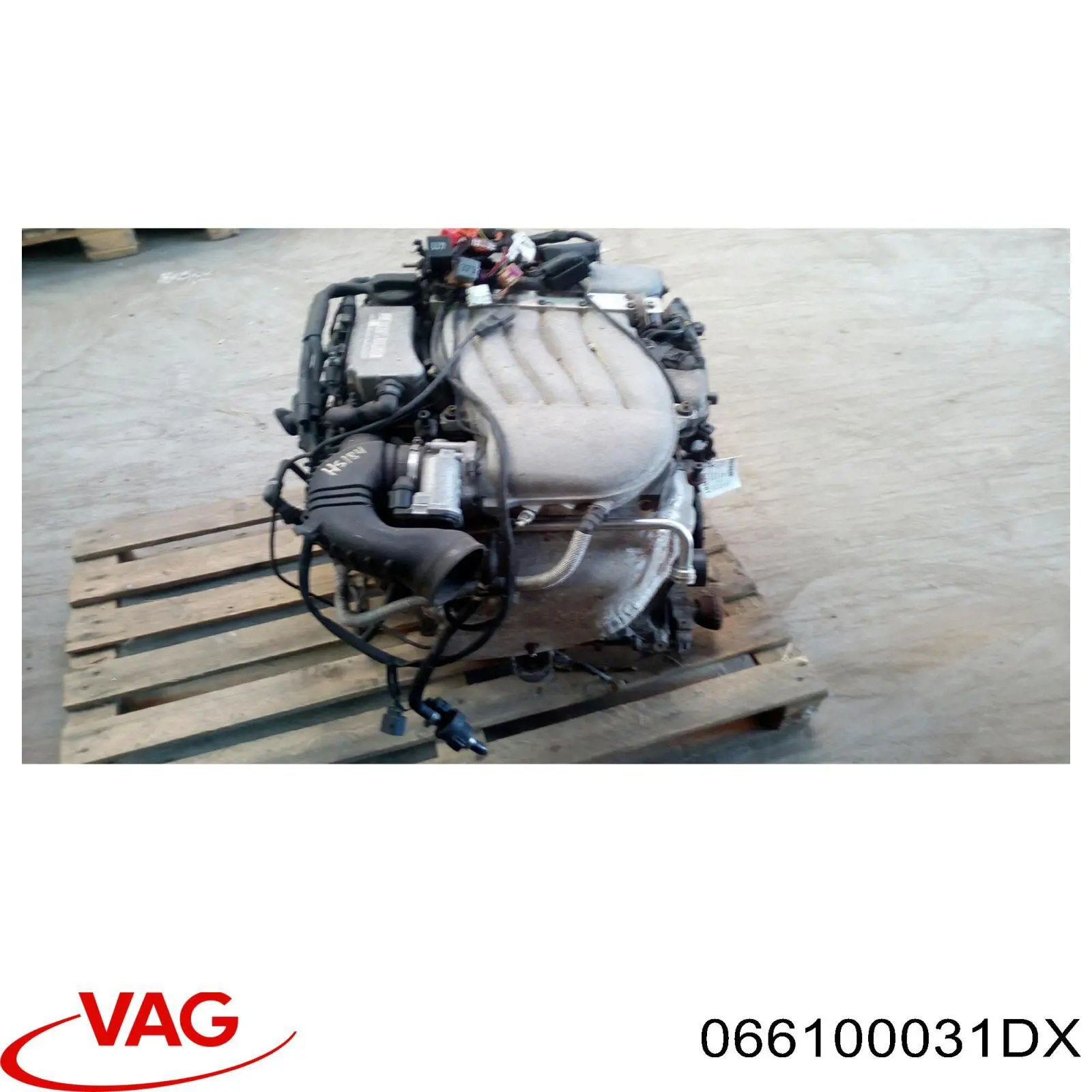  066100031DX VAG