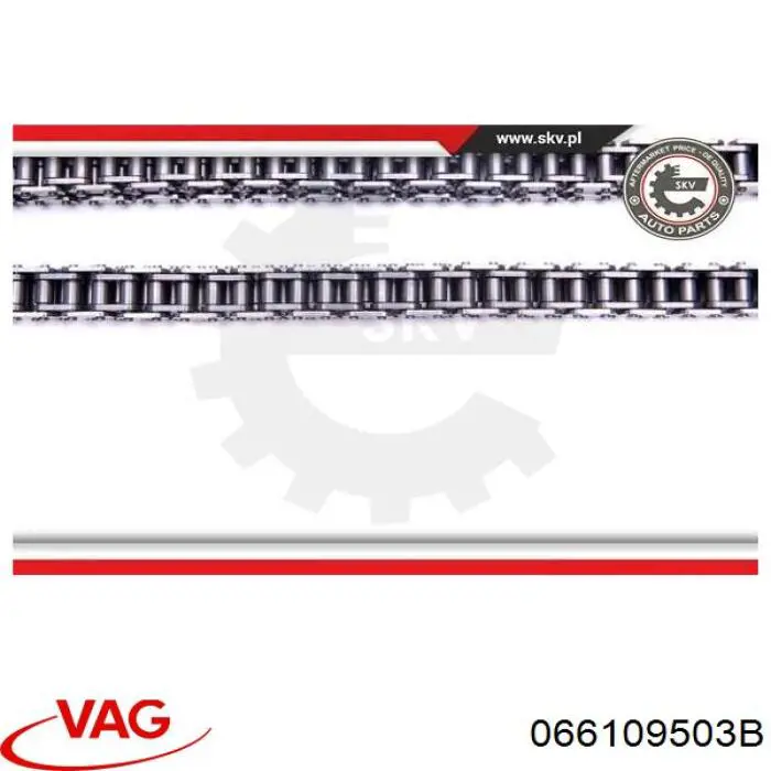 Купити 066109503B VAG Ланцюг ГРМ, верхня