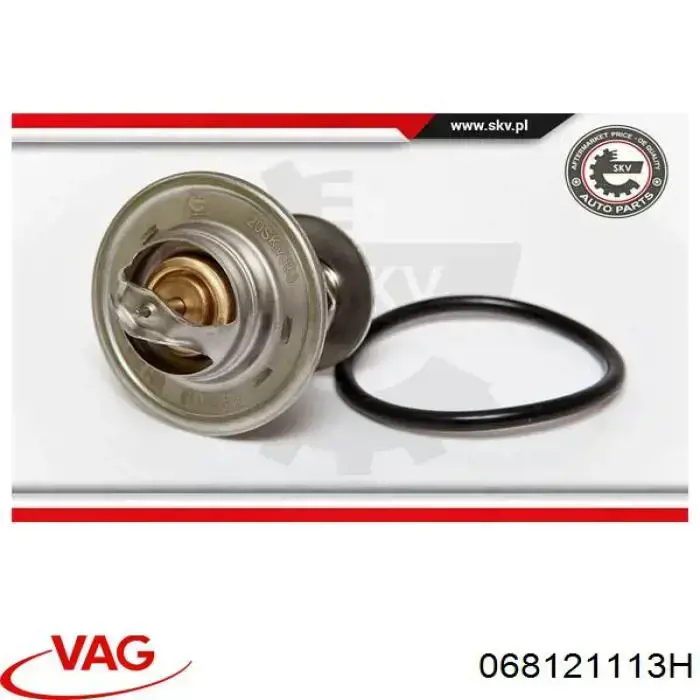 Термостат 068121113H VAG