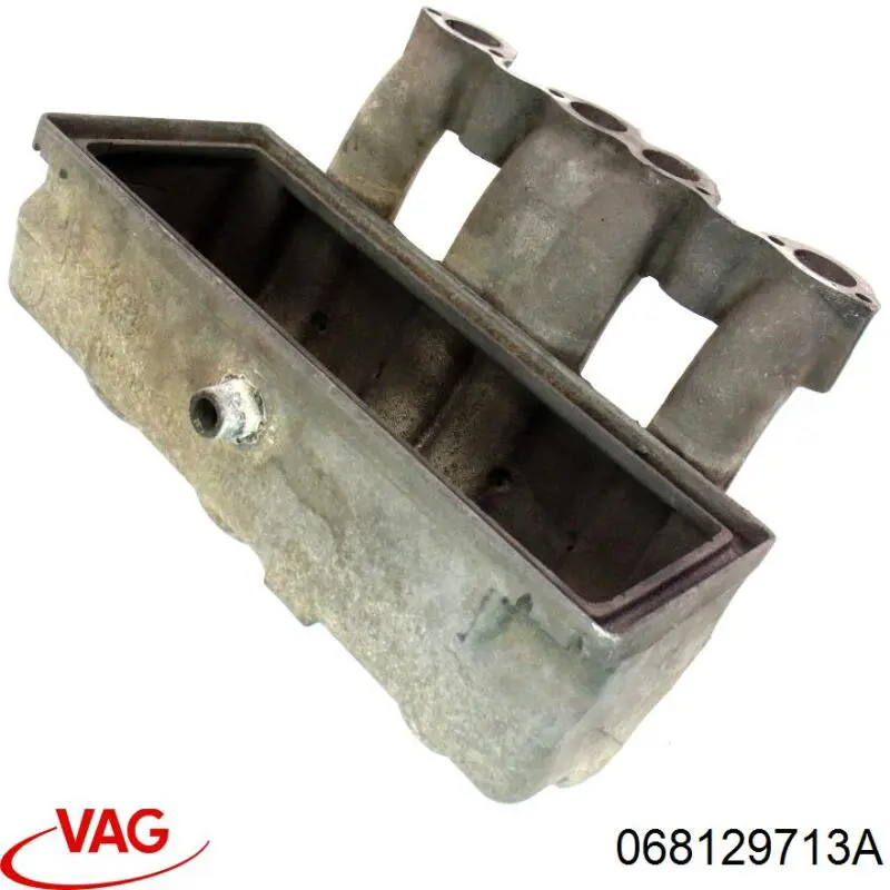 068129713A VAG