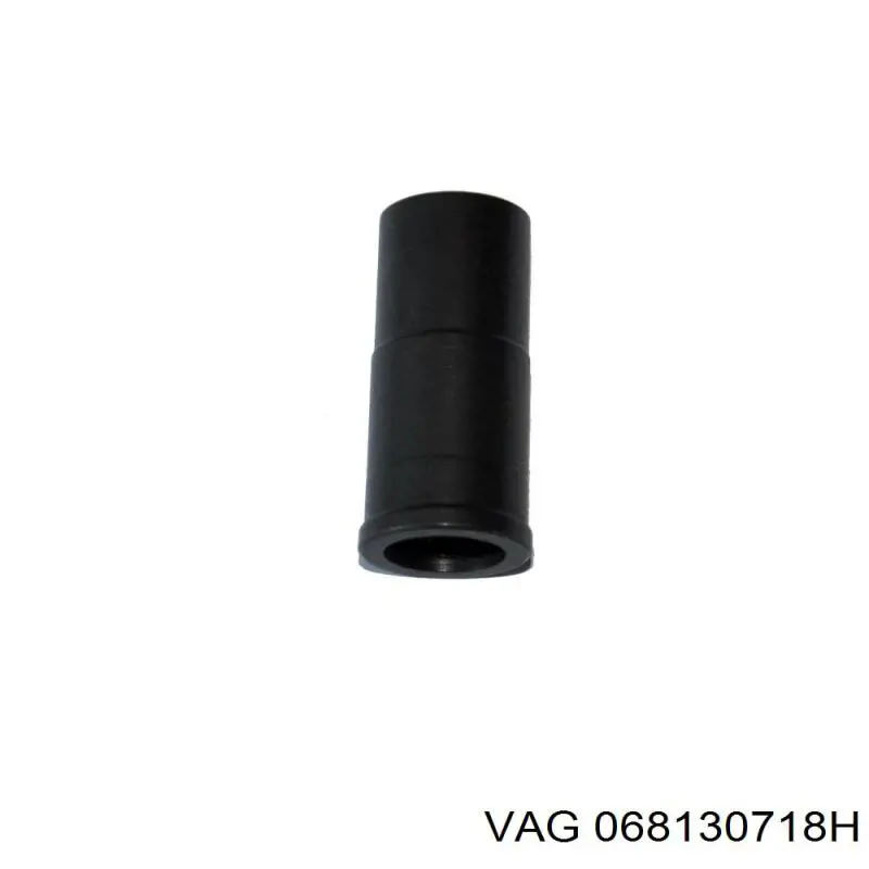 068130718H VAG 