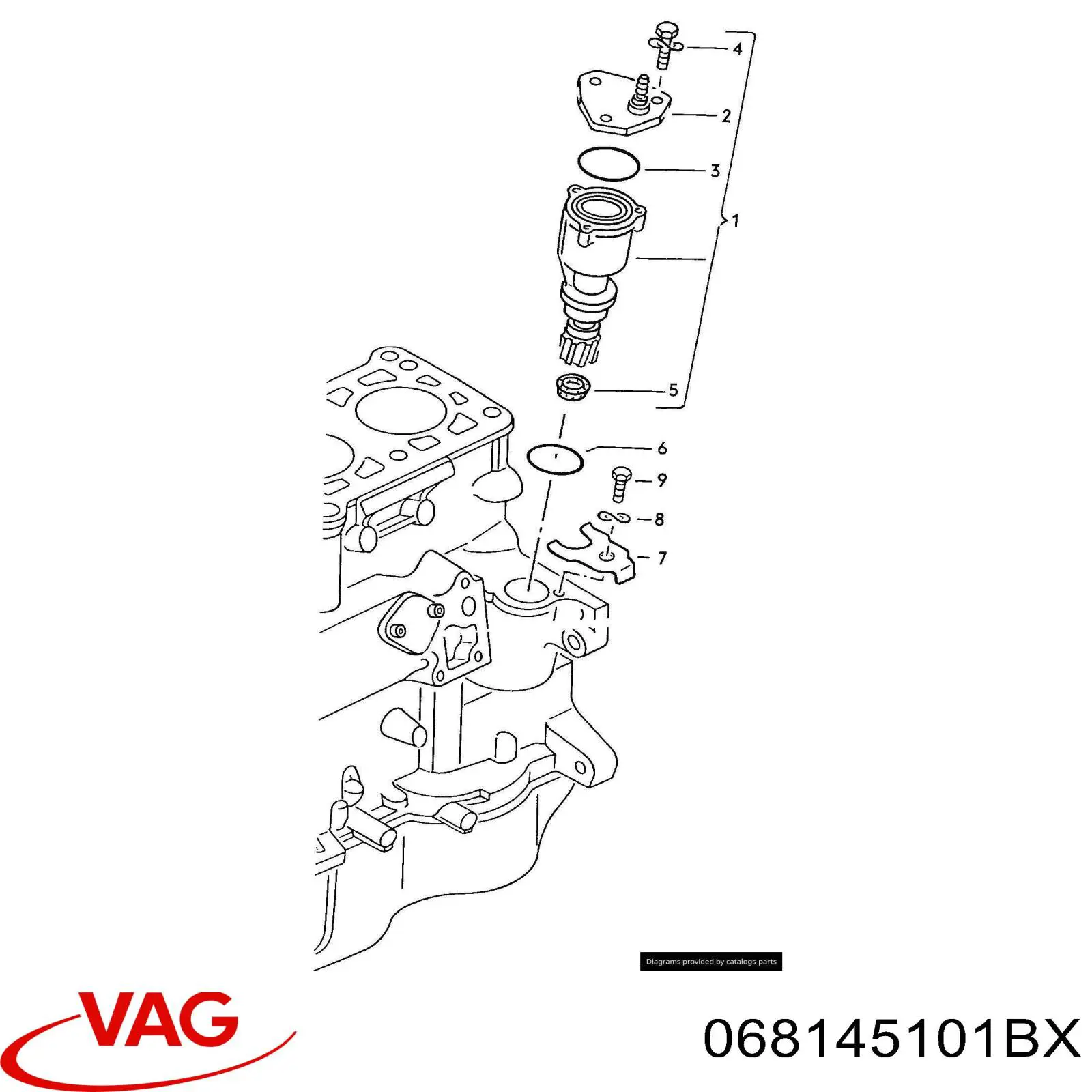 Насос вакуумний 068145101BX VAG