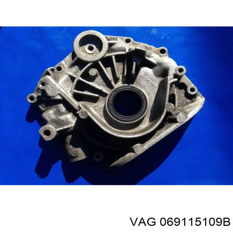  069115109B VAG