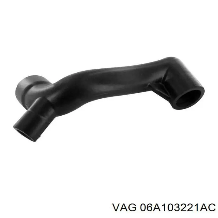 06A103221BG VAG 