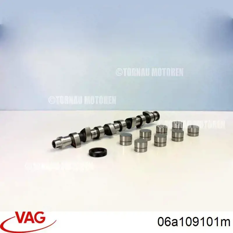 06A109101M VAG Вал розподільний
