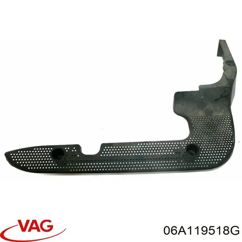  06A119518G VAG