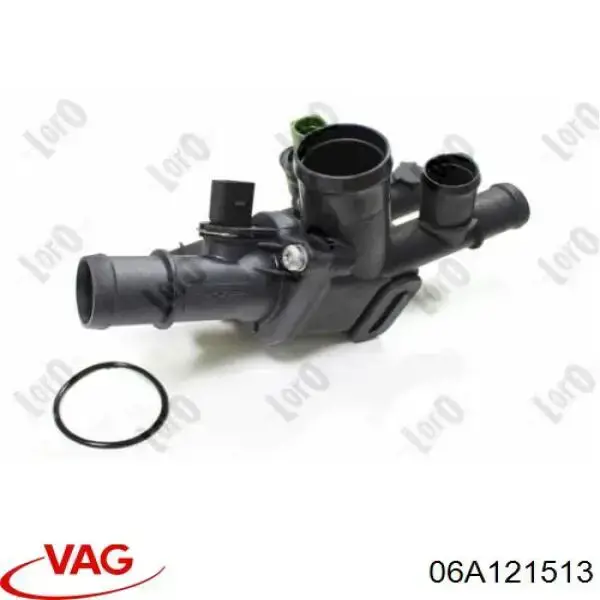  06A121513 VAG