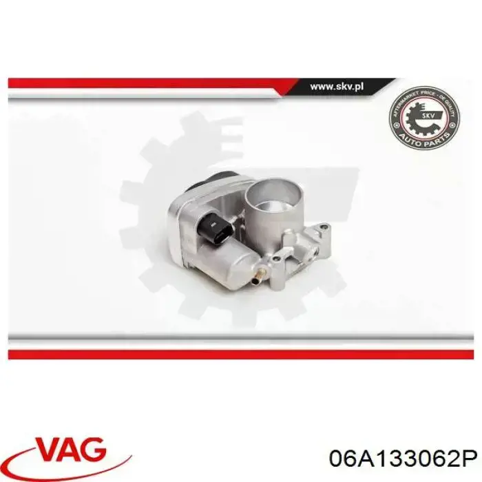 06A133062P VAG Дросільна заслінка в зборі