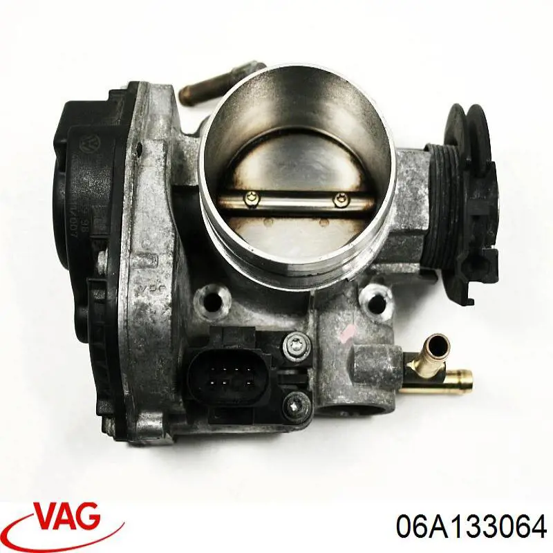 06A133064 VAG 