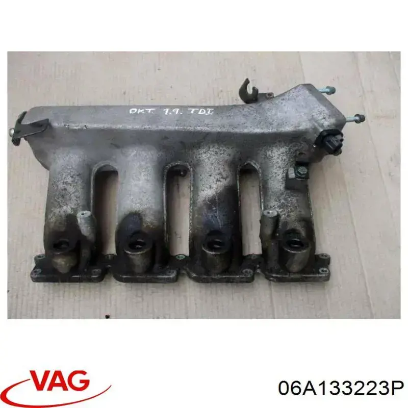 06A133223P VAG 