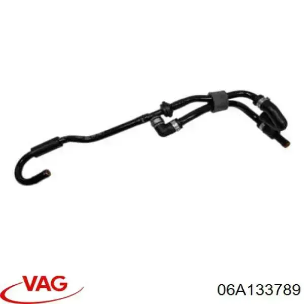 06A133789 VAG 