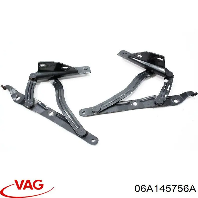  06A145756A VAG