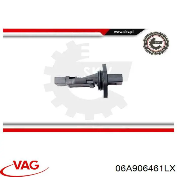 Витратомір повітря VAG 06A906461LX