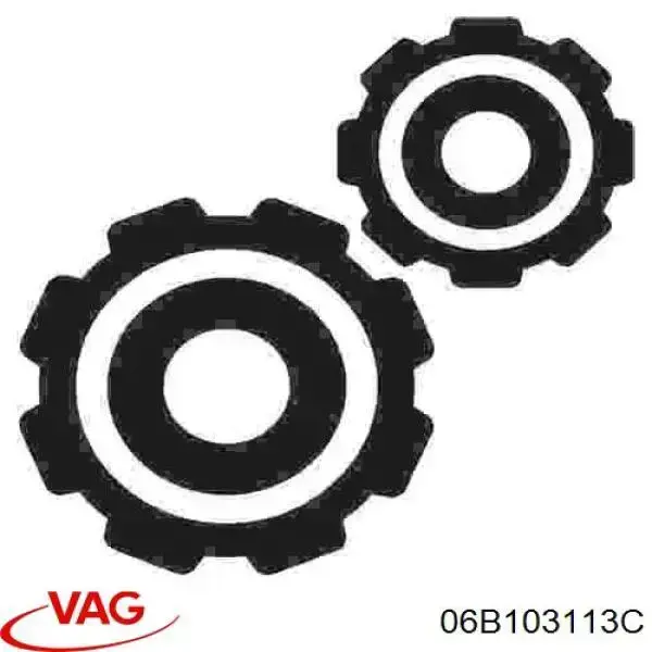 Купити 06B103113C VAG Заглушка блоку циліндрів