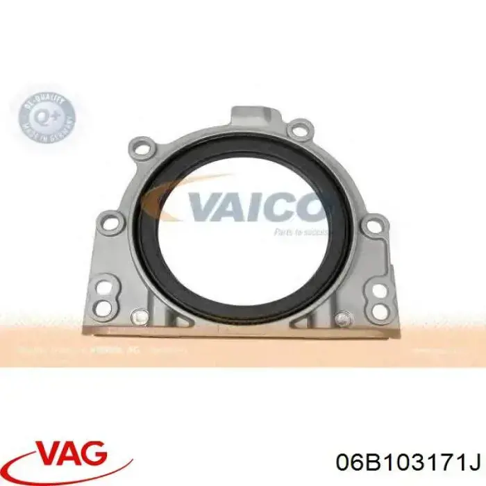 Сальник колінвала двигуна, задній VAG 06B103171J ціна, від 39.06 USD
