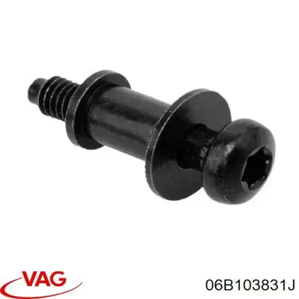Купити 06B103831F VAG Болт клапанної кришки ГБЦ