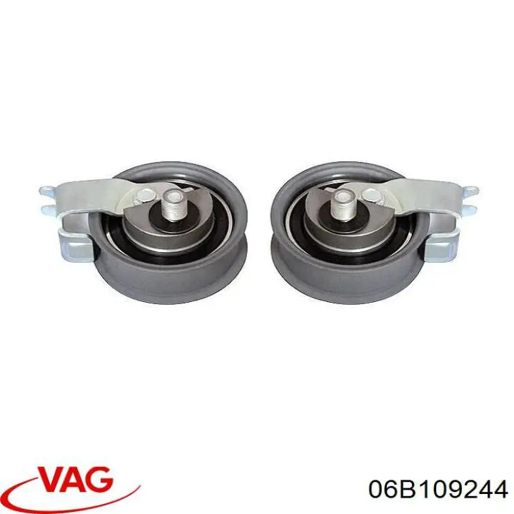 Купити 06B109244 VAG Ролик паразитний ГРМ