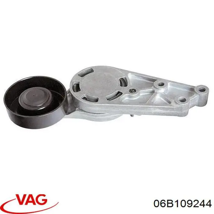 Ролик паразитний ГРМ 06B109244 VAG