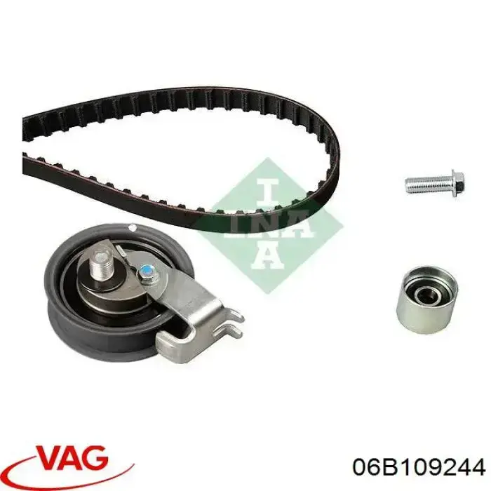 Купити 06B109244 VAG Ролик паразитний ГРМ