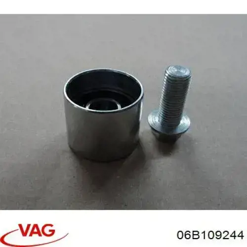 Ролик паразитний ГРМ 06B109244 VAG