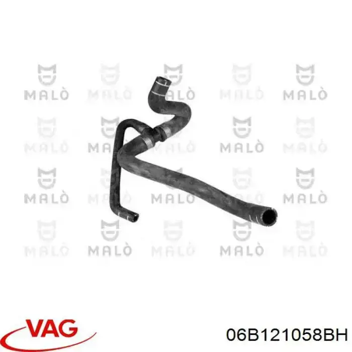 06B121058BH VAG 