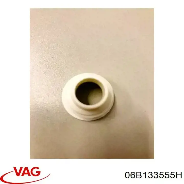 Купити 06B133555H VAG Кільце форсунки
