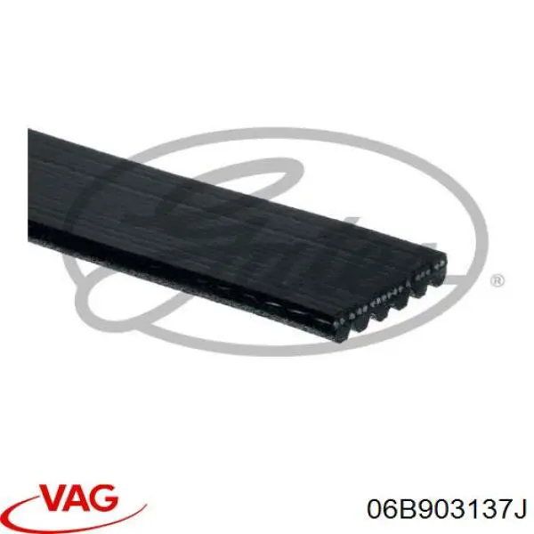 Купити 06B903137J VAG Ремінь генератора