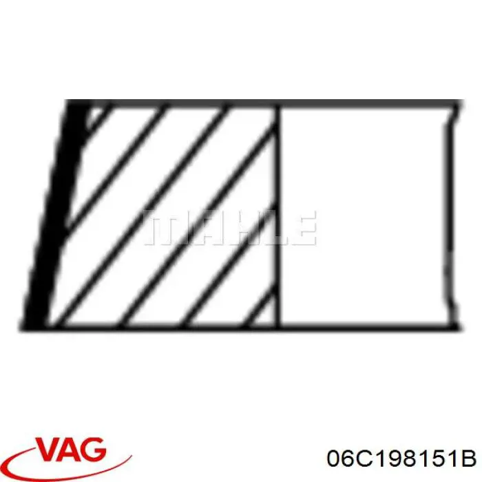 06C198151B VAG 