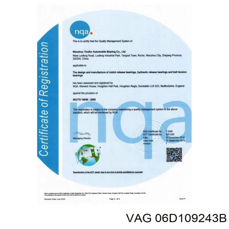06D109243B VAG Ролик натягувач