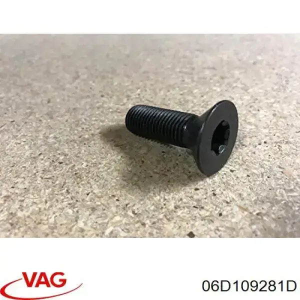 Купити 06D109281D VAG Гідравлічний болт фаз газорозподілу