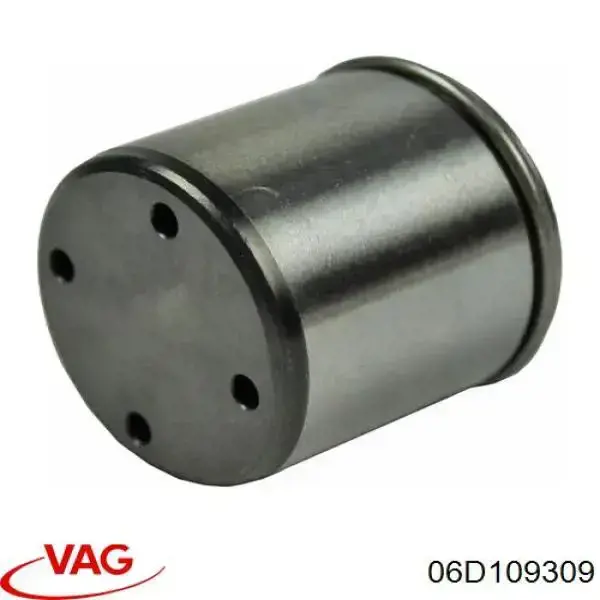 Купити 06D109309 VAG Штовхач паливного насосу