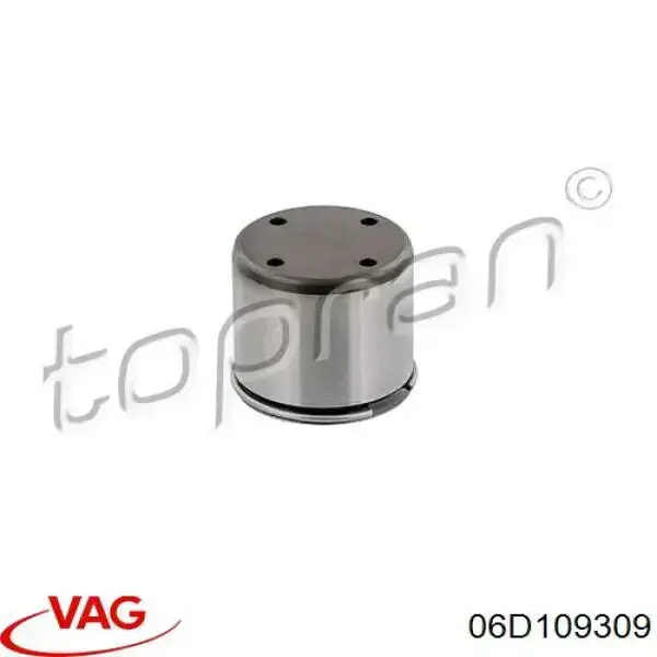 Штовхач паливного насосу VAG 06D109309 ціна, від 20.46 USD