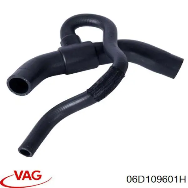 Купити 06D109601H VAG Клапан впускний
