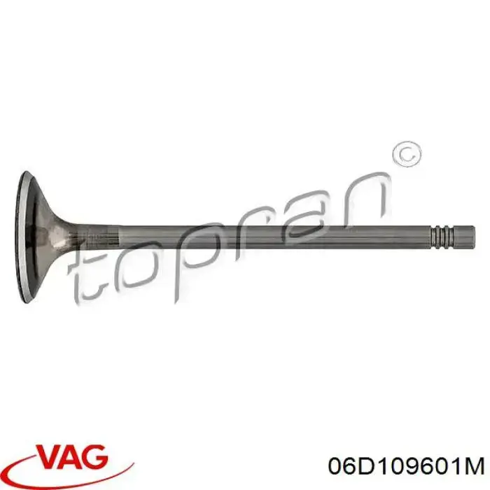 Купити 06D109601M VAG Клапан впускний