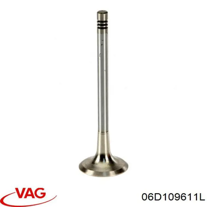 06D109611L VAG клапан випускний