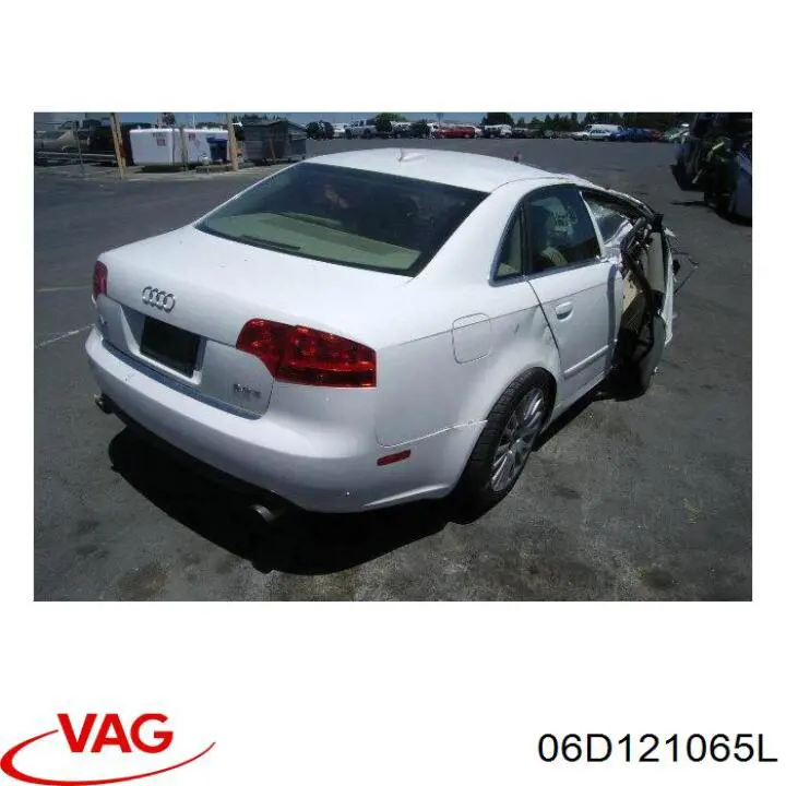 06D121065L VAG 