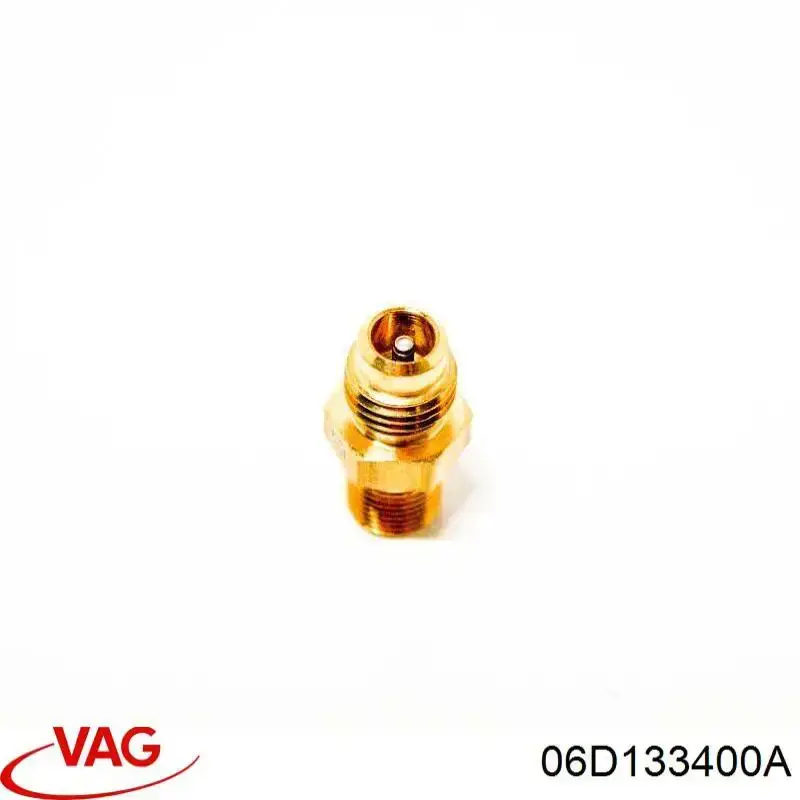 Купити 06D133400A VAG 