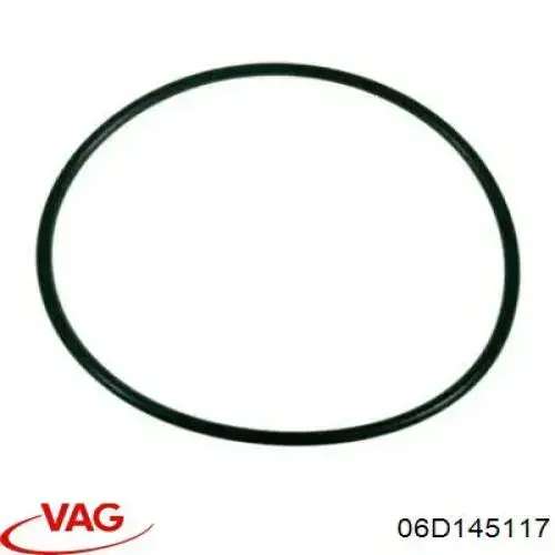 Прокладка вакуумного насосу Chrysler 05080459AA ціна, від 4.63 USD